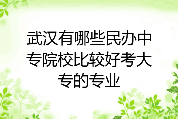 武汉有哪些民办中专院校比较好考大专的专业