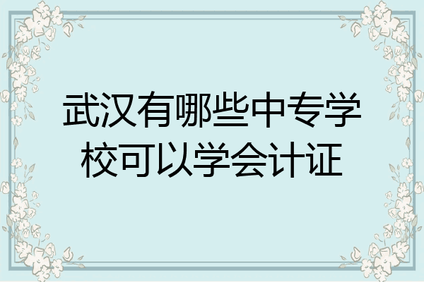 武汉有哪些中专学校可以学会计证