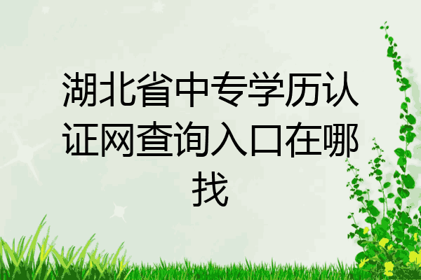 湖北省中专学历认证网查询入口在哪找