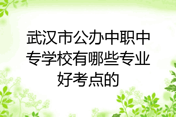 武汉市公办中职中专学校有哪些专业好考点的