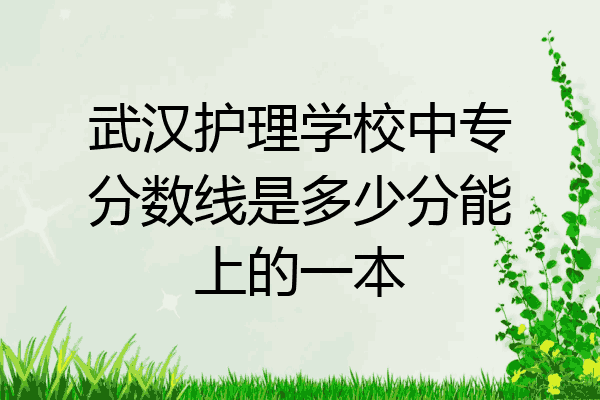武汉护理学校中专分数线是多少分能上的一本