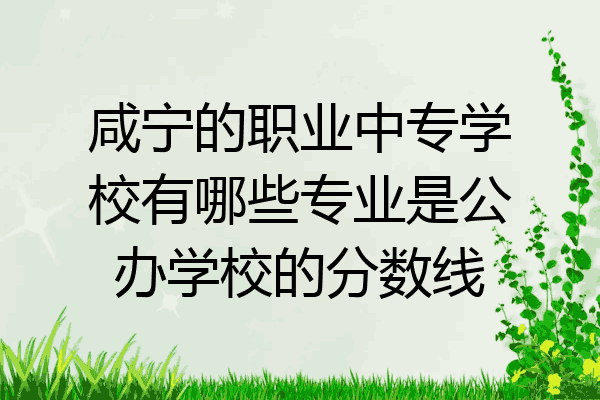 咸宁的职业中专学校有哪些专业是公办学校的分数线