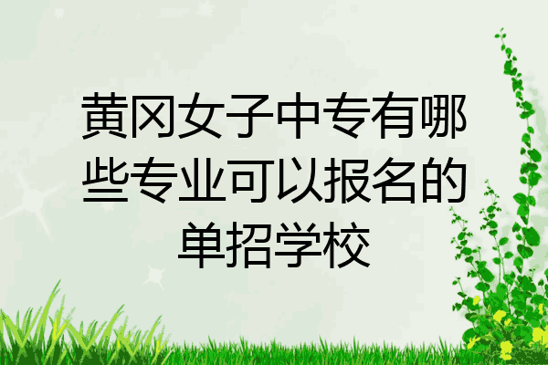 黄冈女子中专有哪些专业可以报名的单招学校