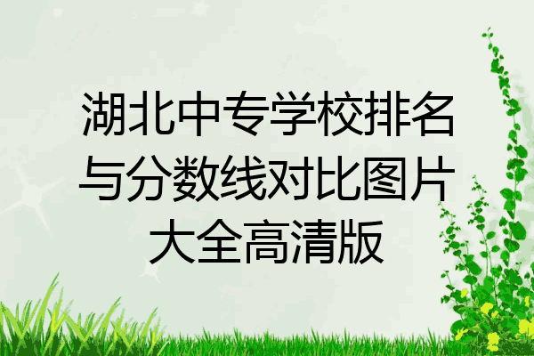 湖北中专学校排名与分数线对比图片大全高清版