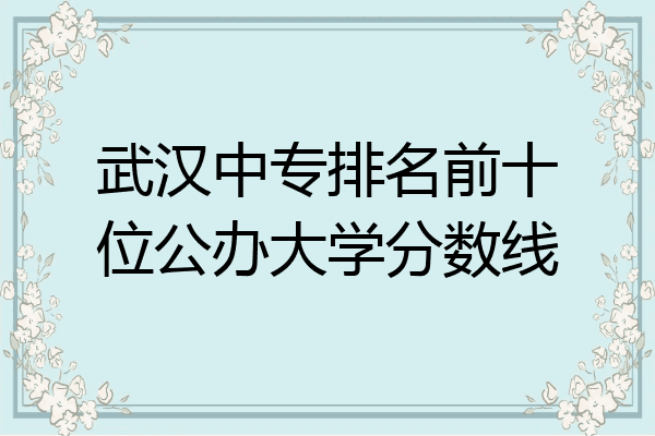 武汉中专排名前十位公办大学分数线