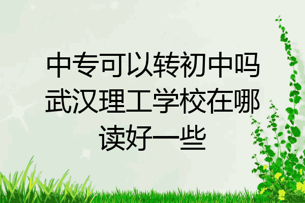 中专可以转初中吗武汉理工学校在哪读好一些