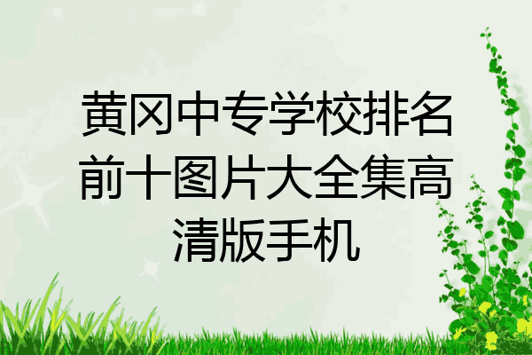 黄冈中专学校排名前十图片大全集高清版手机