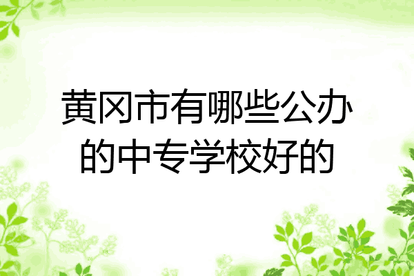 黄冈市有哪些公办的中专学校好的