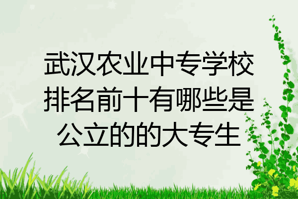 武汉农业中专学校排名前十有哪些是公立的的大专生