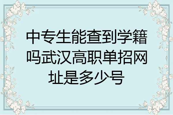 中专生能查到学籍吗武汉高职单招网址是多少号