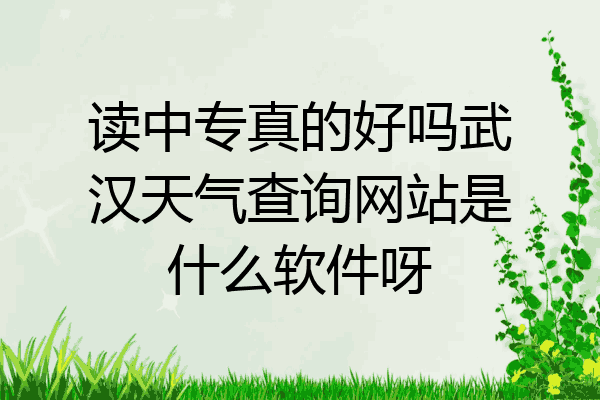 读中专真的好吗武汉天气查询网站是什么软件呀