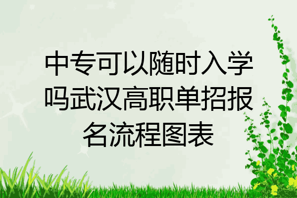 中专可以随时入学吗武汉高职单招报名流程图表