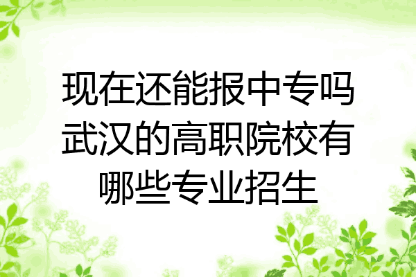 现在还能报中专吗武汉的高职院校有哪些专业招生