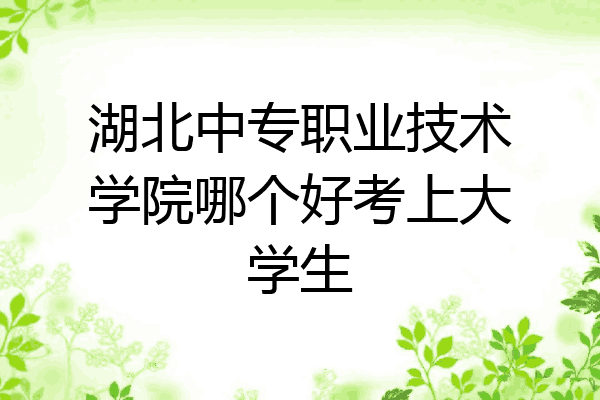 湖北中专职业技术学院哪个好考上大学生