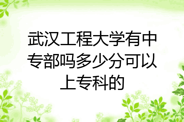 武汉工程大学有中专部吗多少分可以上专科的