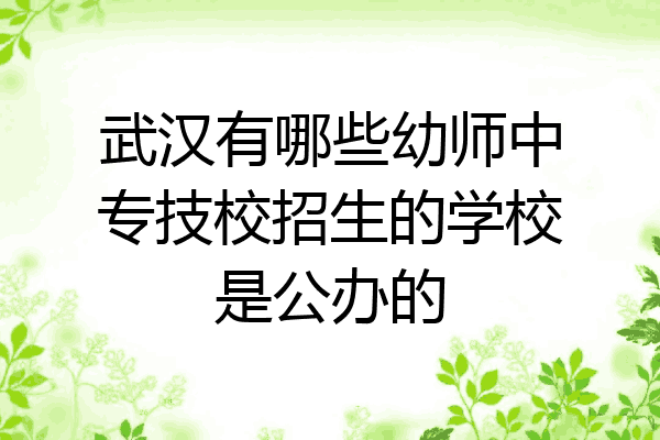武汉有哪些幼师中专技校招生的学校是公办的