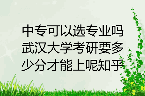 中专可以选专业吗武汉大学考研要多少分才能上呢知乎
