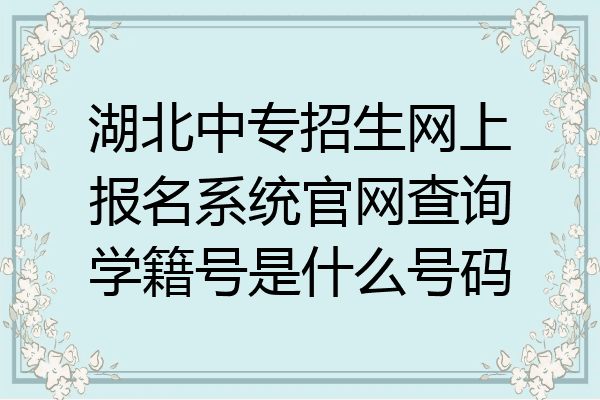 湖北中专招生网上报名系统官网查询学籍号是什么号码