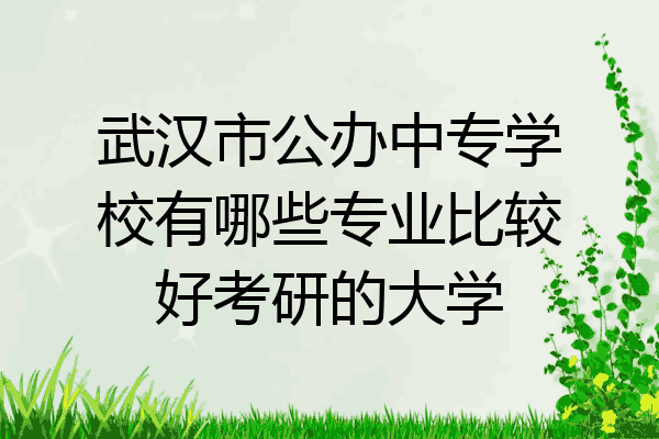 武汉市公办中专学校有哪些专业比较好考研的大学