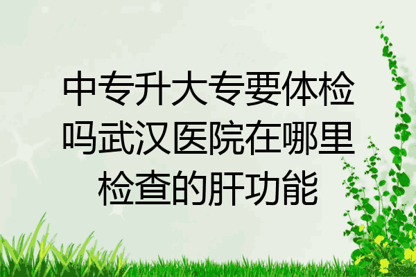 中专升大专要体检吗武汉医院在哪里检查的肝功能