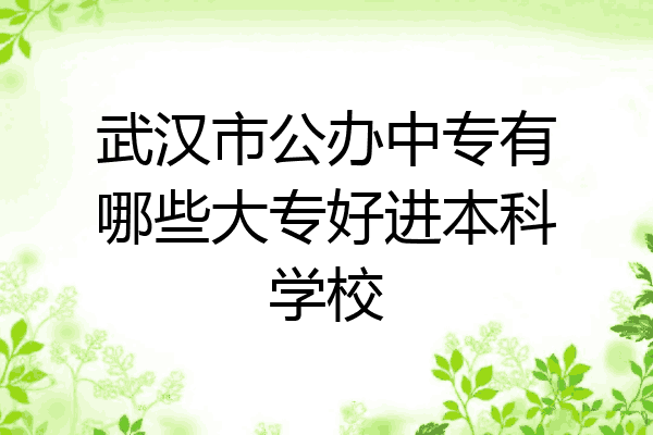 武汉市公办中专有哪些大专好进本科学校