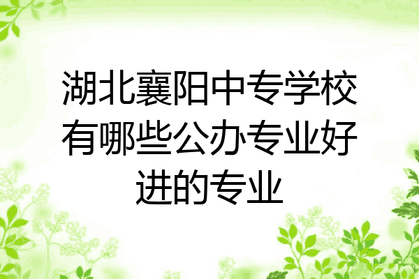 湖北襄阳中专学校有哪些公办专业好进的专业