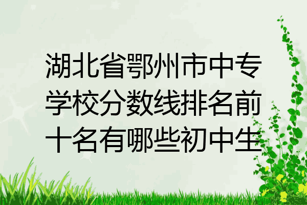 湖北省鄂州市中专学校分数线排名前十名有哪些初中生