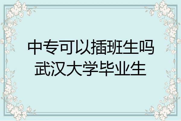 中专可以插班生吗武汉大学毕业生