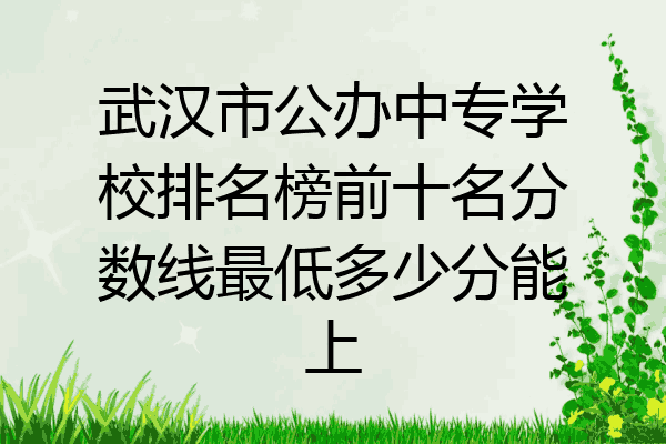 武汉市公办中专学校排名榜前十名分数线最低多少分能上