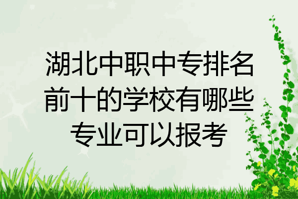 湖北中职中专排名前十的学校有哪些专业可以报考