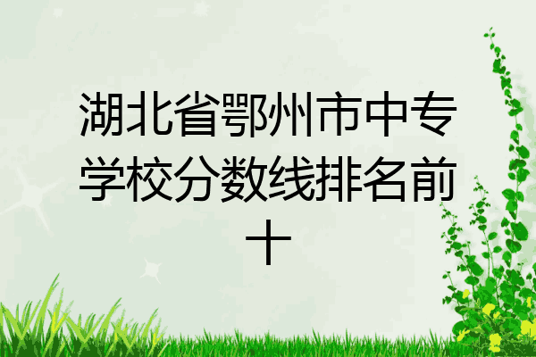 湖北省鄂州市中专学校分数线排名前十