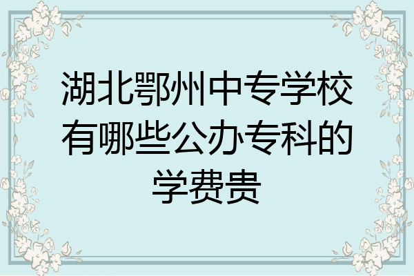 湖北鄂州中专学校有哪些公办专科的学费贵