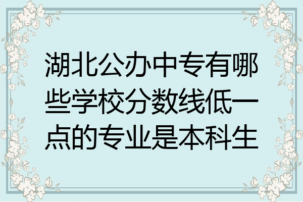 湖北公办中专有哪些学校分数线低一点的专业是本科生