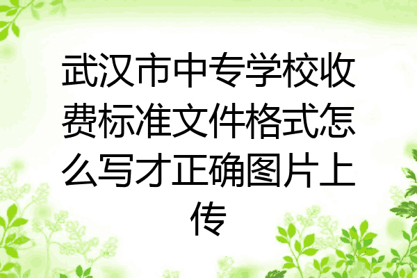 武汉市中专学校收费标准文件格式怎么写才正确图片上传