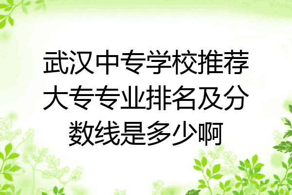 武汉中专学校推荐大专专业排名及分数线是多少啊