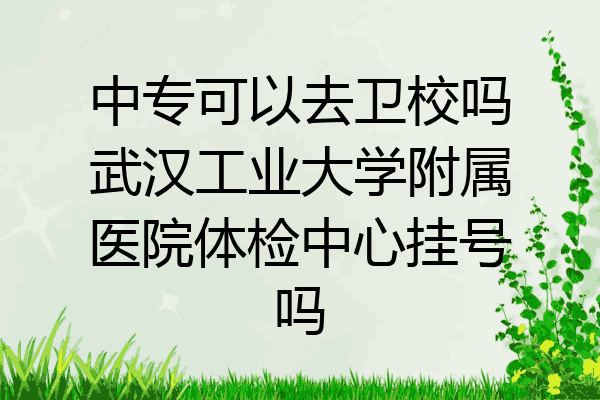 中专可以去卫校吗武汉工业大学附属医院体检中心挂号吗