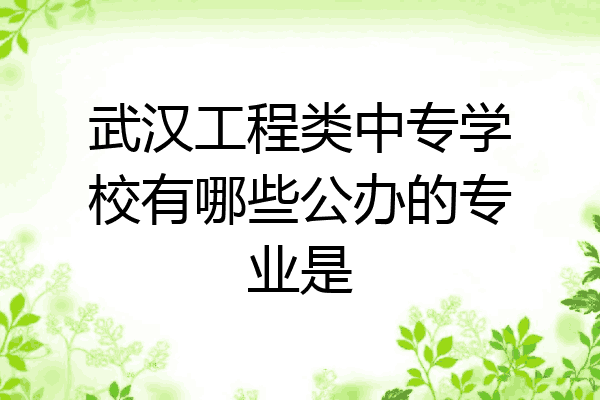 武汉工程类中专学校有哪些公办的专业是