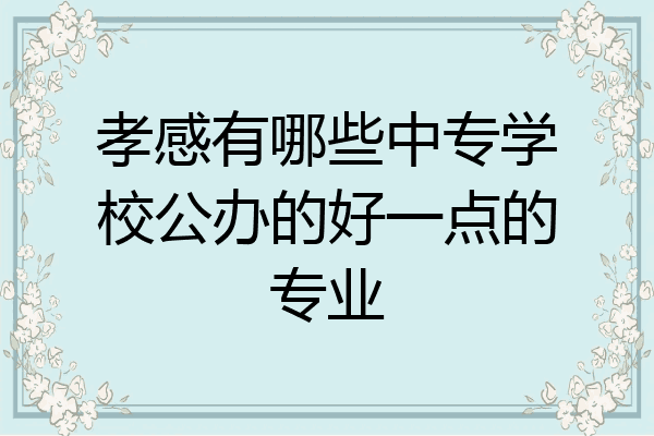 孝感有哪些中专学校公办的好一点的专业