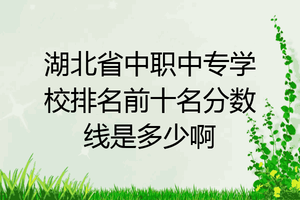 湖北省中职中专学校排名前十名分数线是多少啊