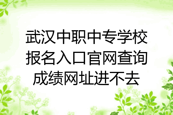 武汉中职中专学校报名入口官网查询成绩网址进不去