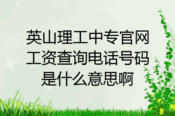 英山理工中专官网工资查询电话号码是什么意思啊