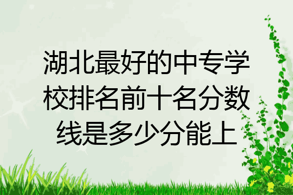 湖北最好的中专学校排名前十名分数线是多少分能上