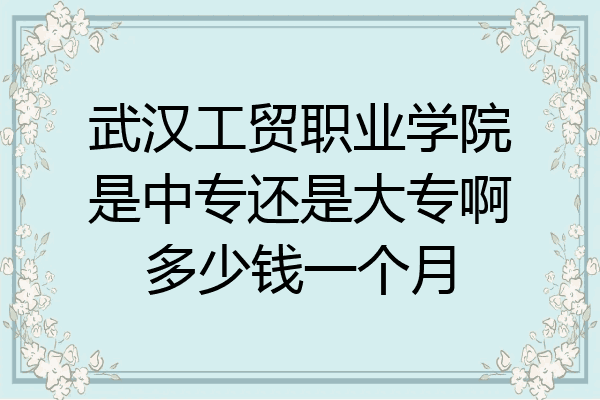 武汉工贸职业学院是中专还是大专啊多少钱一个月