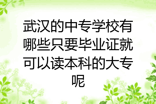 武汉的中专学校有哪些只要毕业证就可以读本科的大专呢