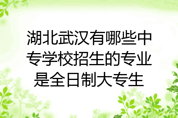 湖北武汉有哪些中专学校招生的专业是全日制大专生