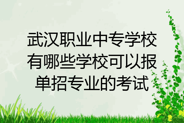 武汉职业中专学校有哪些学校可以报单招专业的考试