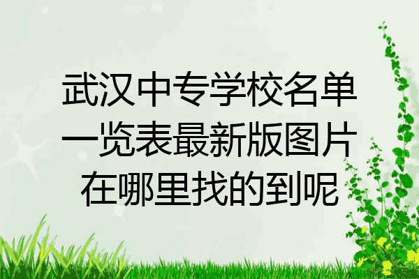 武汉中专学校名单一览表最新版图片在哪里找的到呢