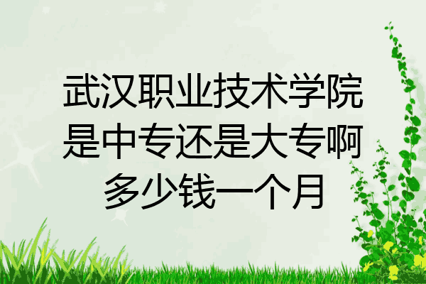 武汉职业技术学院是中专还是大专啊多少钱一个月