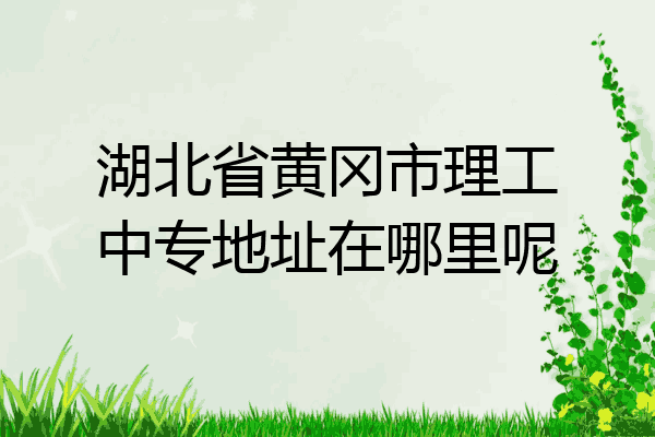 湖北省黄冈市理工中专地址在哪里呢