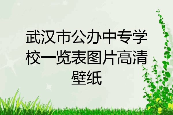 武汉市公办中专学校一览表图片高清壁纸